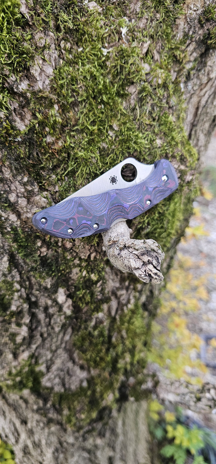 Scales in Carbon by Fatcarbon for Spyderco Endura 4, Endela, Delica 4 or Stretch 2 with assorted clip and backspacer