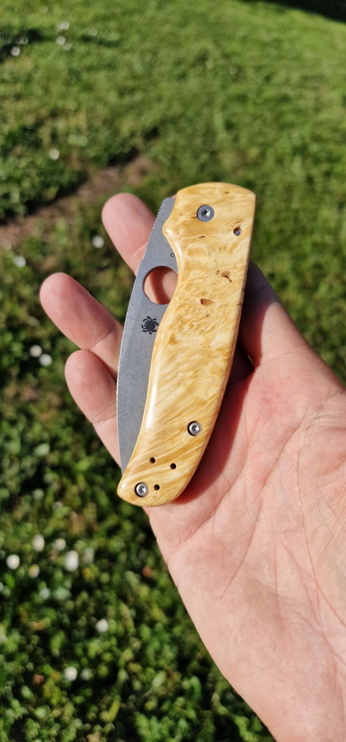 Scales in stabilized wood for Spyderco Shaman