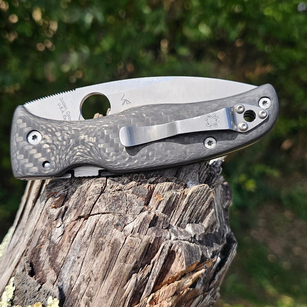 Scales in Carbon by Fatcarbon for spyderco Bodacious