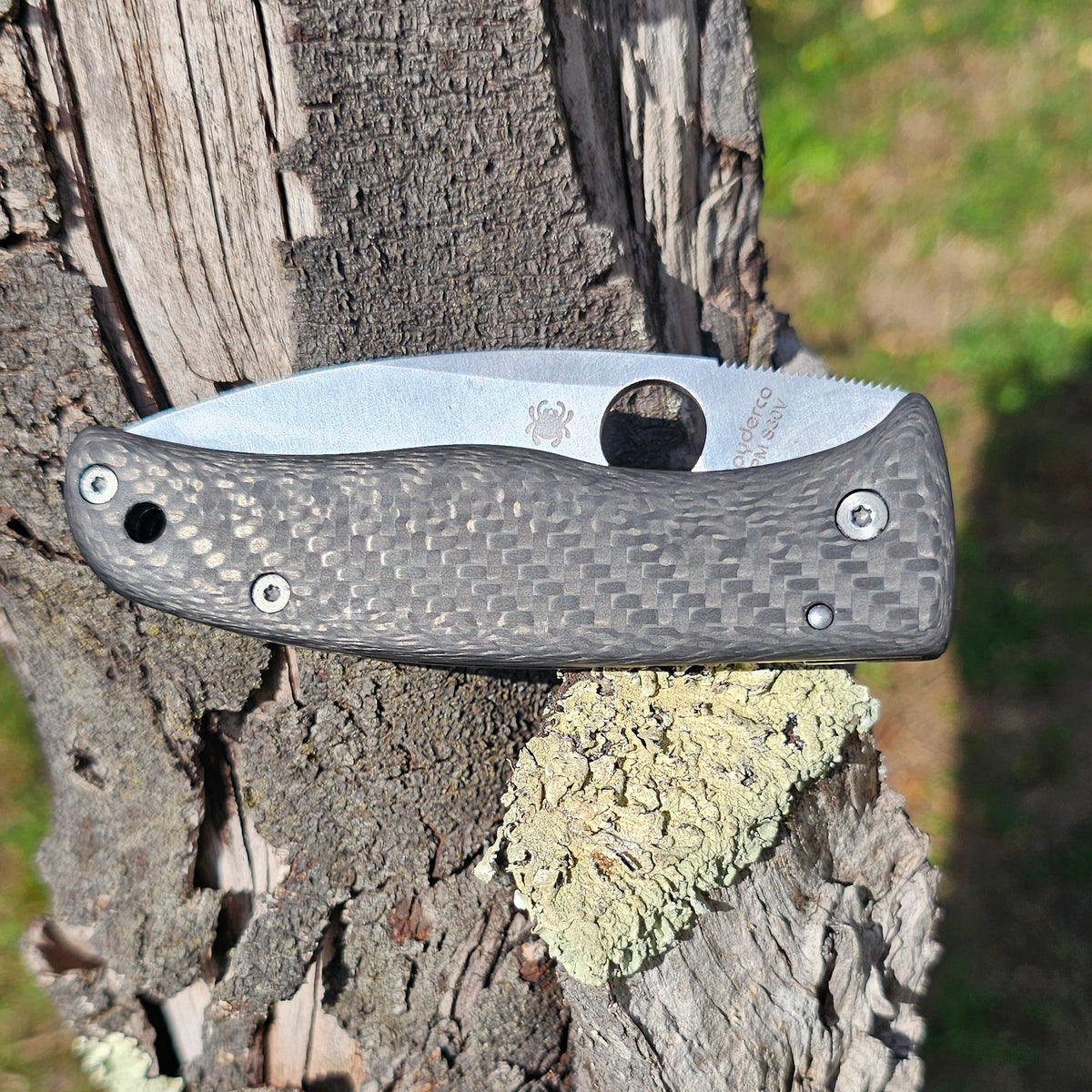 Scales in Carbon by Fatcarbon for spyderco Bodacious