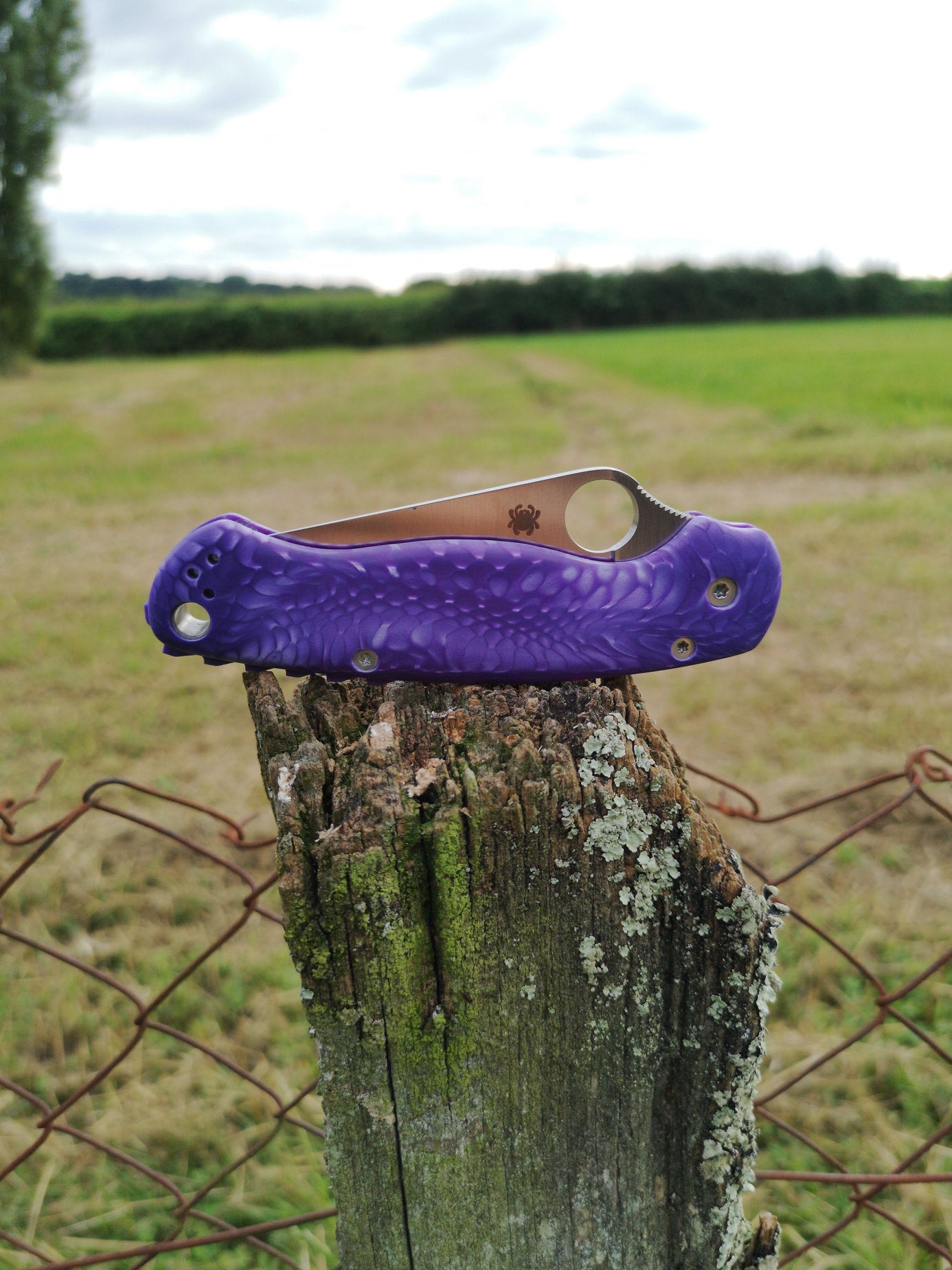 Scales in Juma snake for Spyderco Paramilitary 2