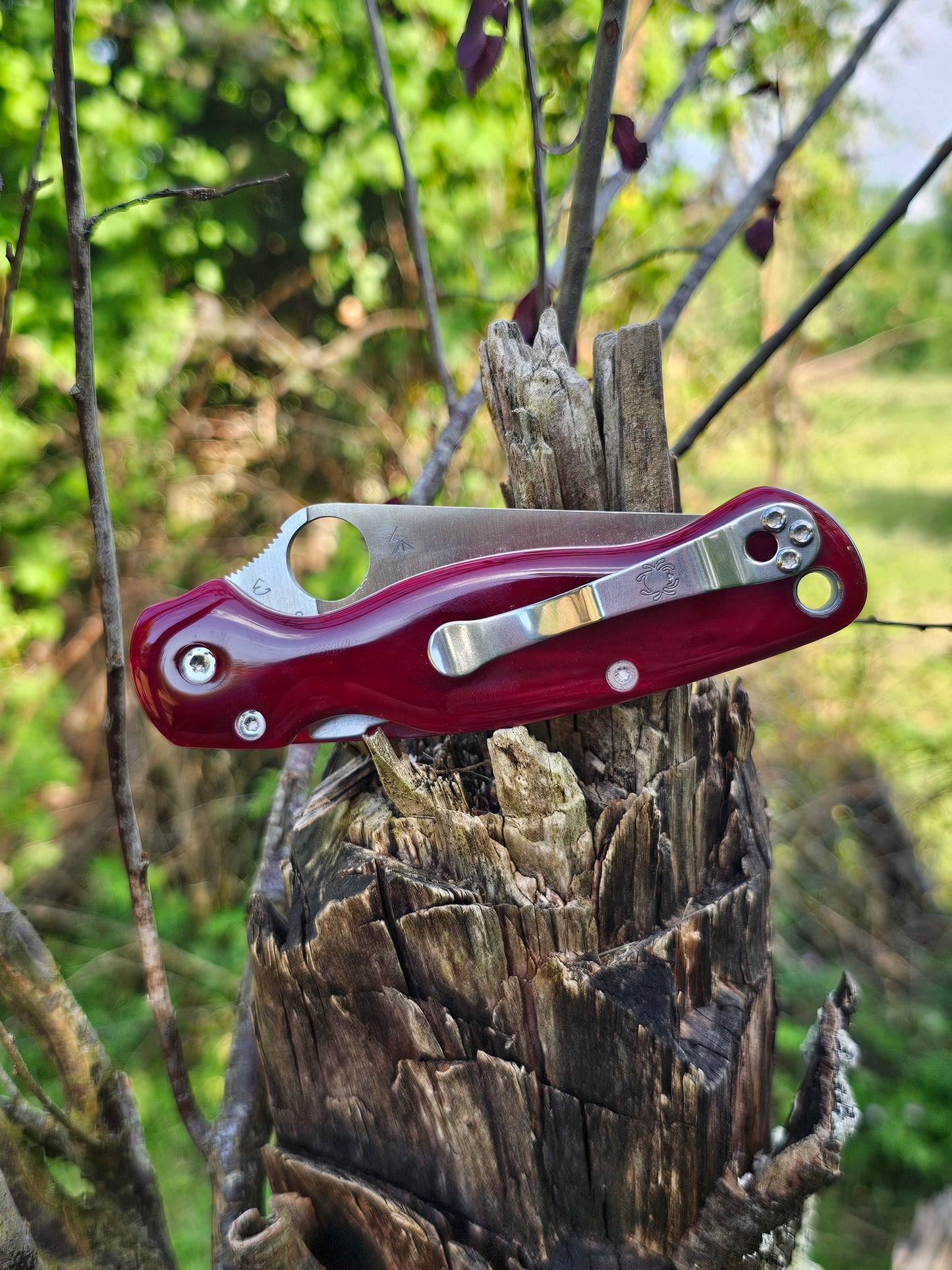 Scales in Kirinite for Spyderco Paramilitary 2