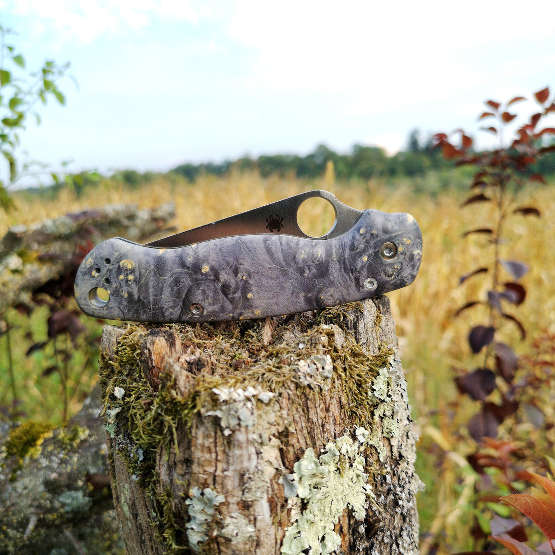Scales in stabilized wood for Spyderco Paramilitary 2