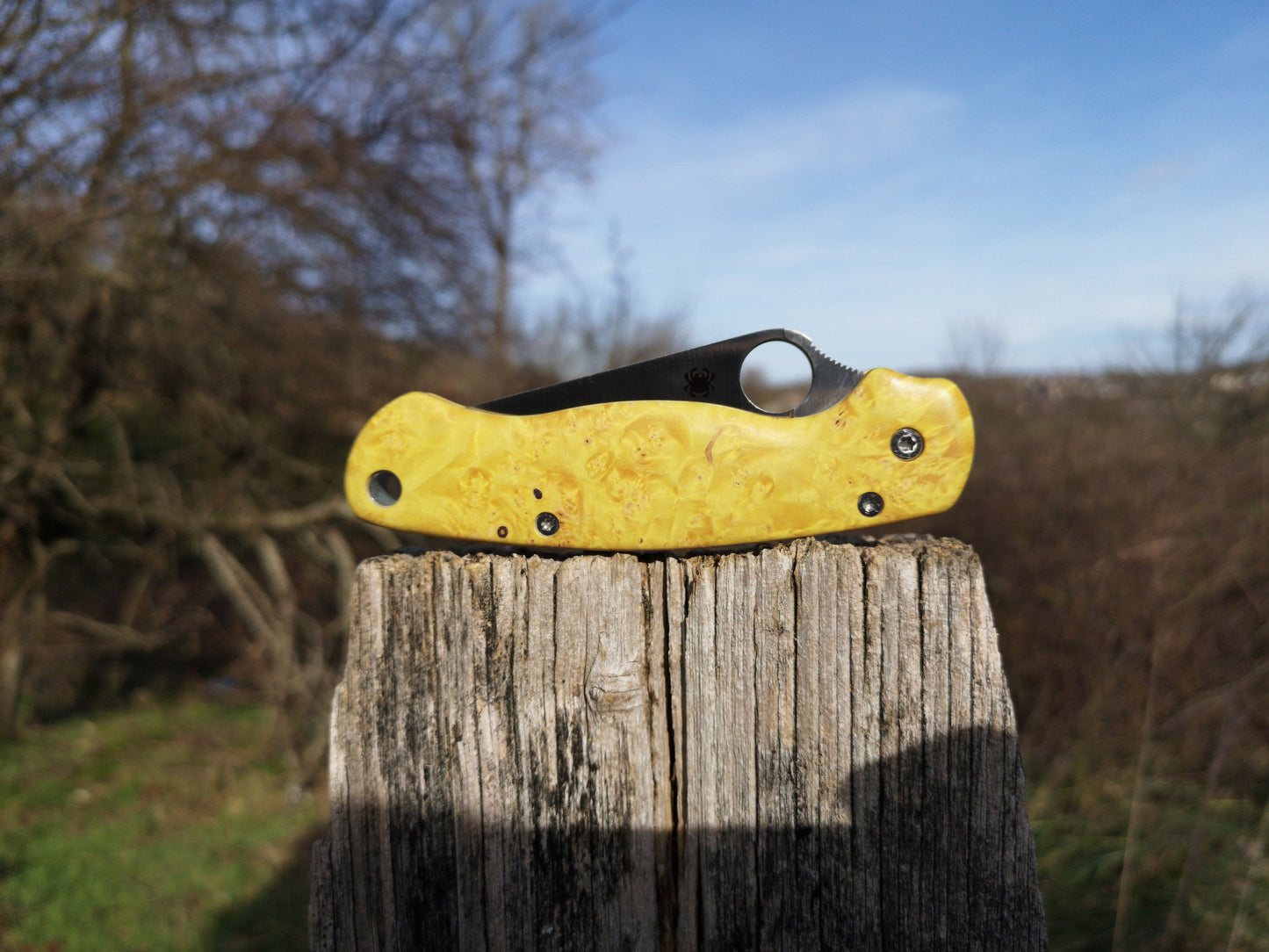 Scales in stabilized wood for Spyderco Paramilitary 2