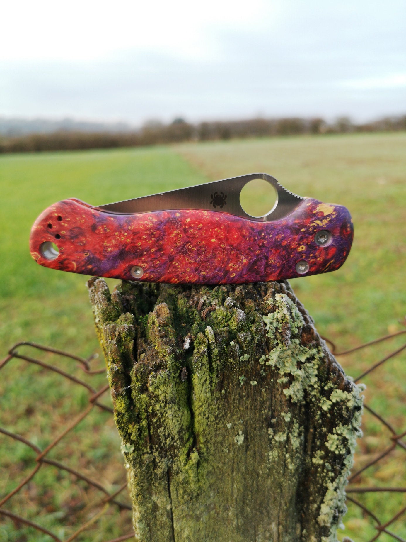 Scales in stabilized wood for Spyderco Paramilitary 2