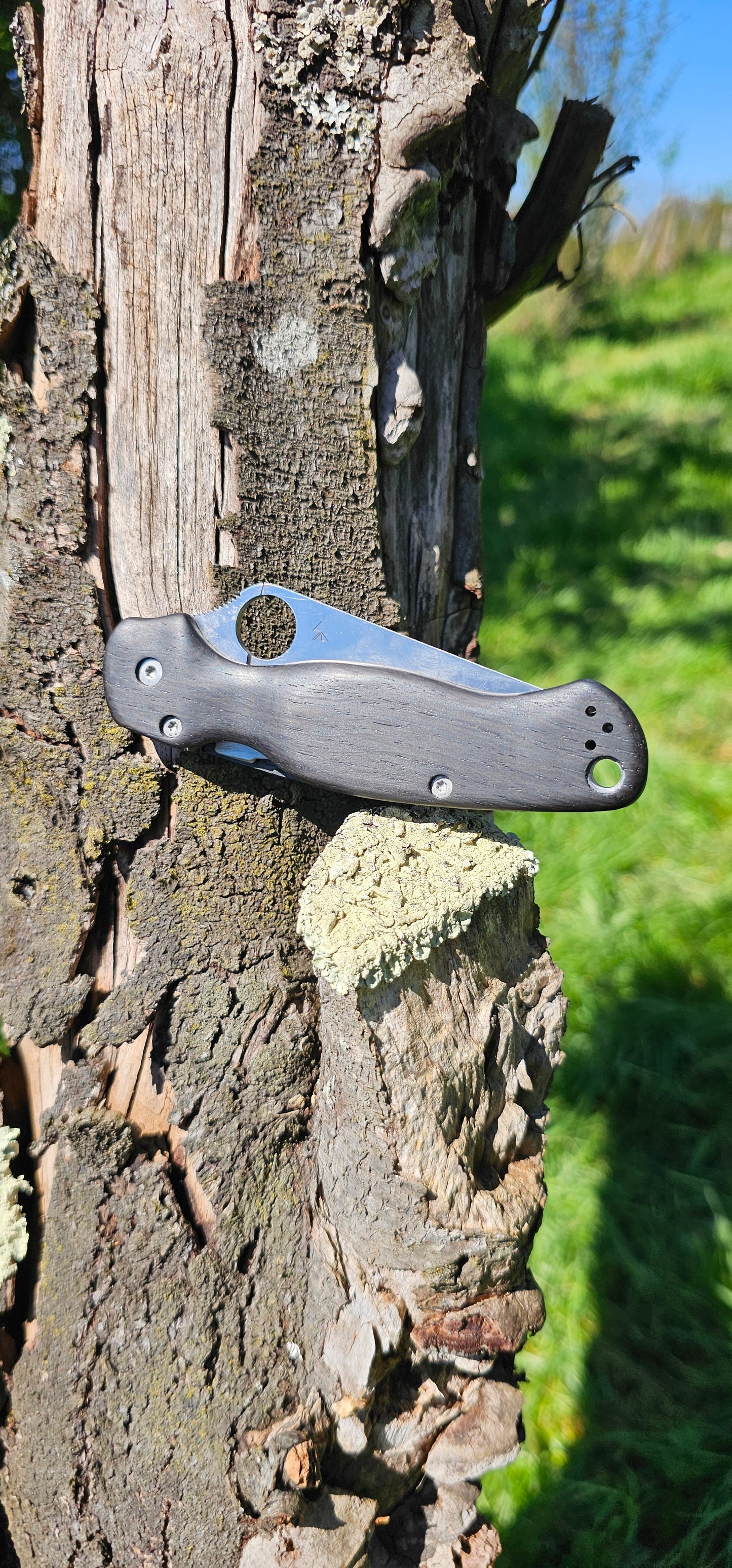 Scales in bog oak for Spyderco Paramilitary 2