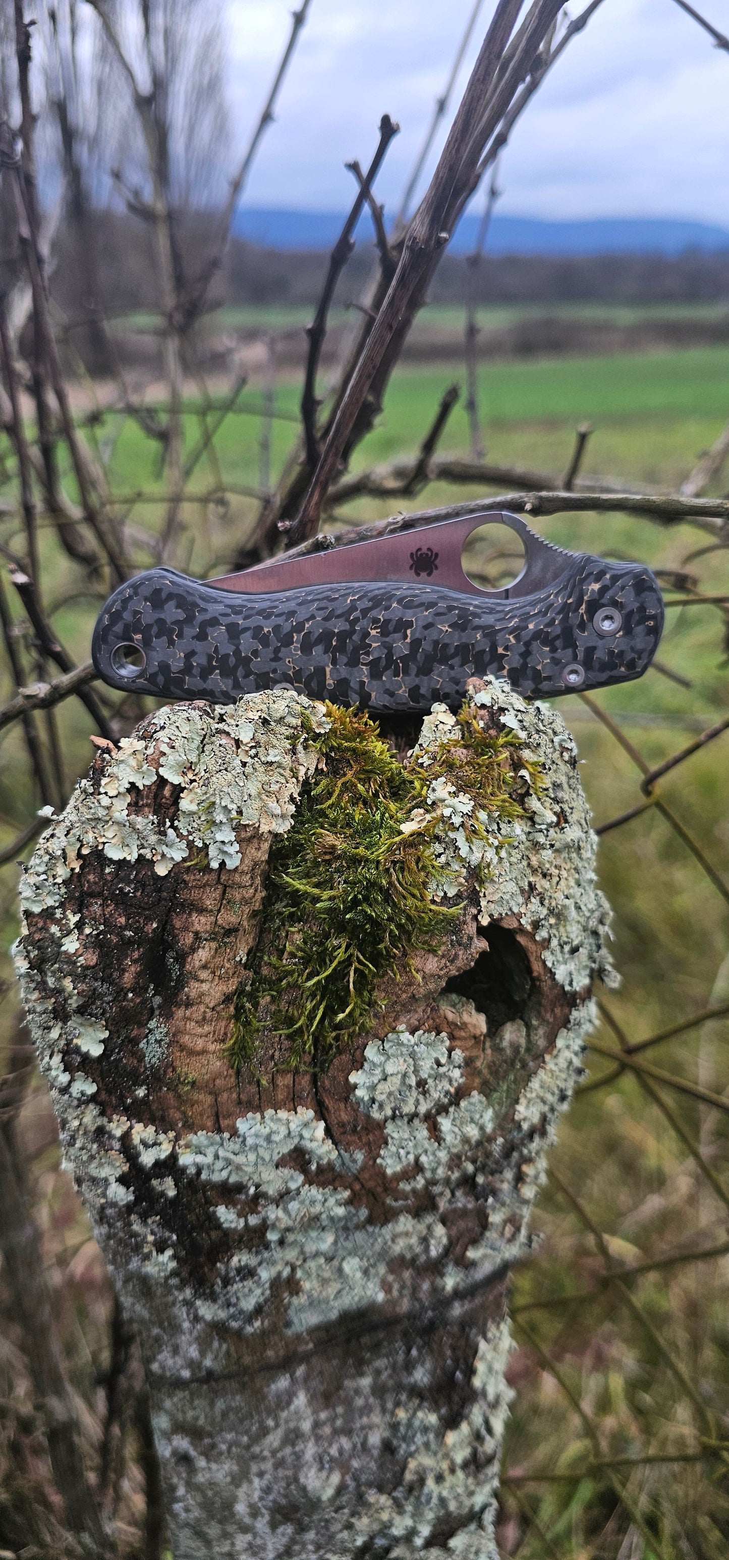 Scales in Carbon by Fatcarbon for Spyderco Paramilitary 2