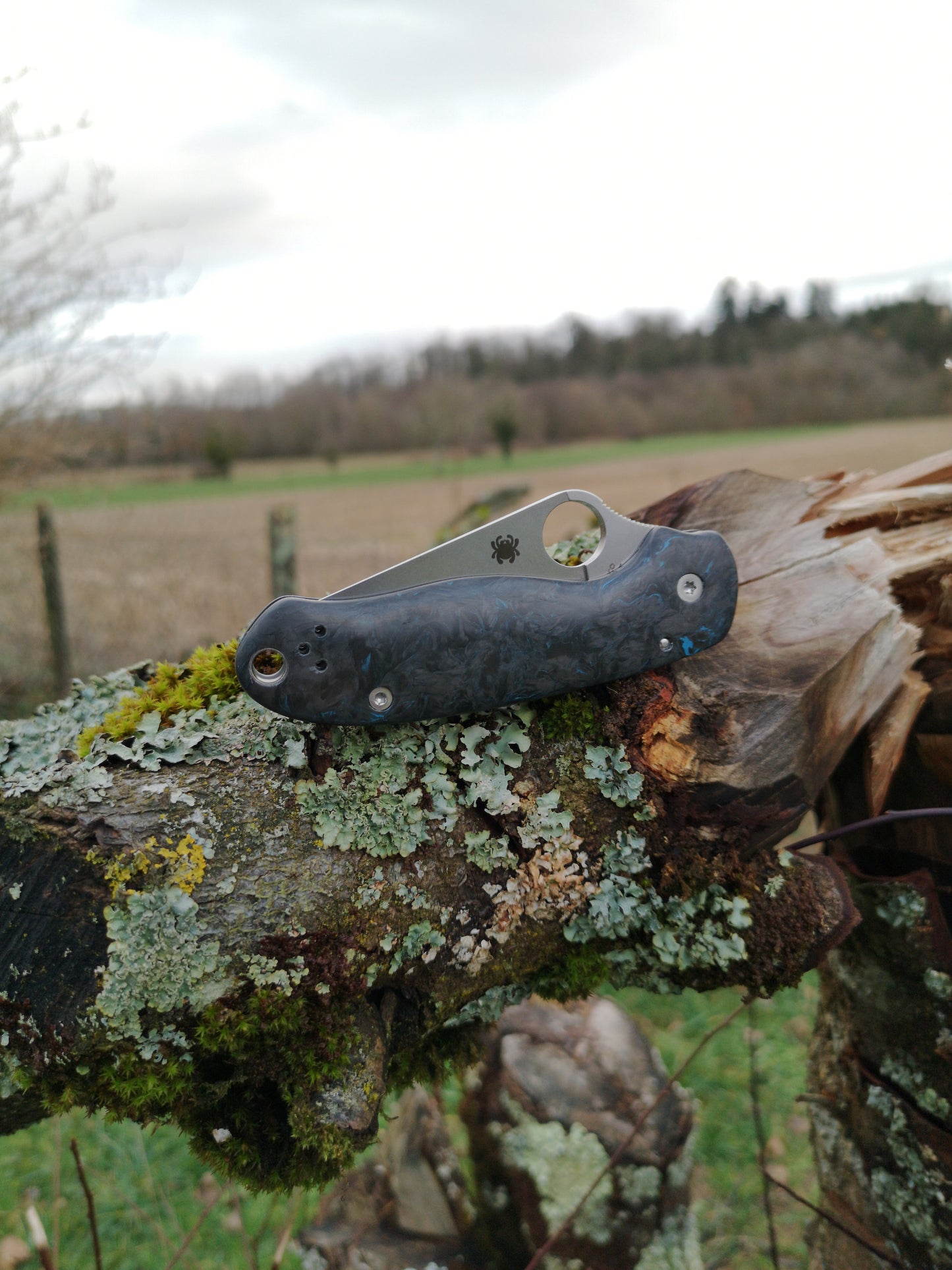 Scales in Carbon by Fatcarbon for Spyderco Para 3