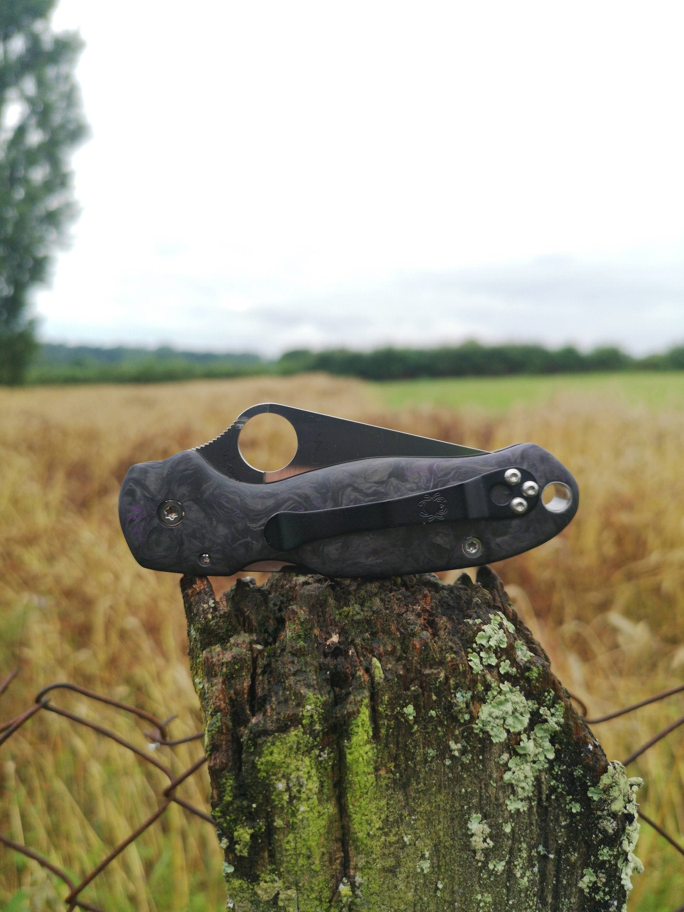Scales in Carbon by Fatcarbon for Spyderco Para 3