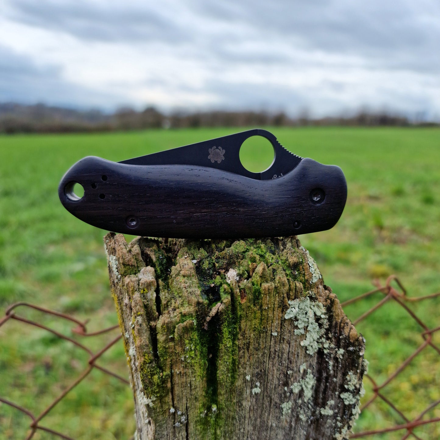 Scales in bog oak for Spyderco Para 3