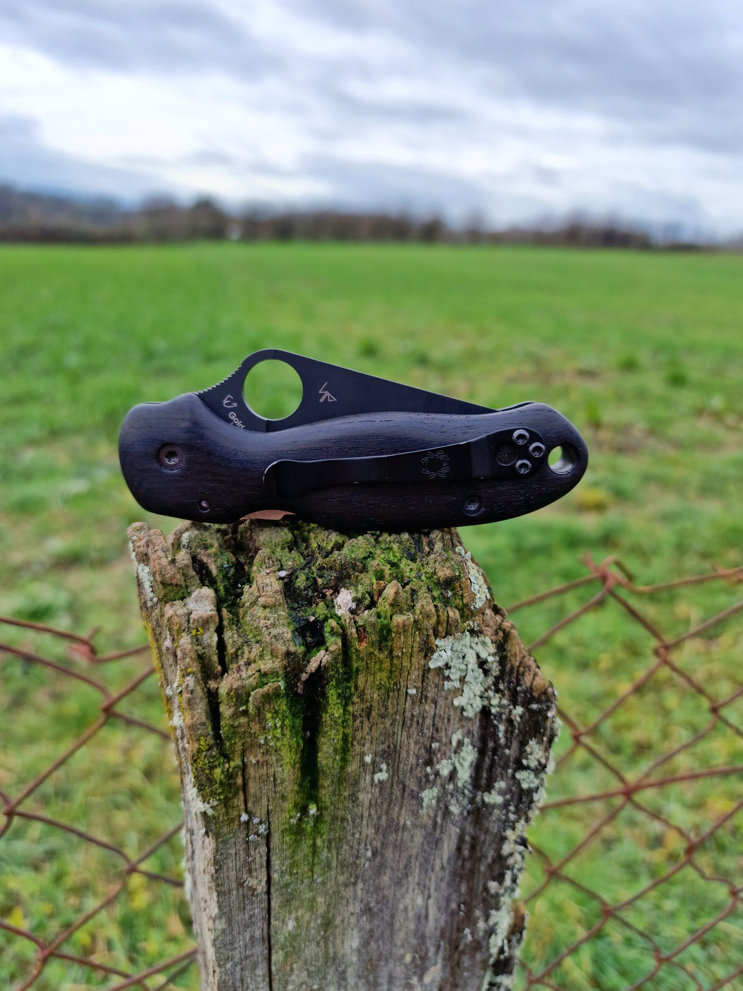 Scales in bog oak for Spyderco Para 3