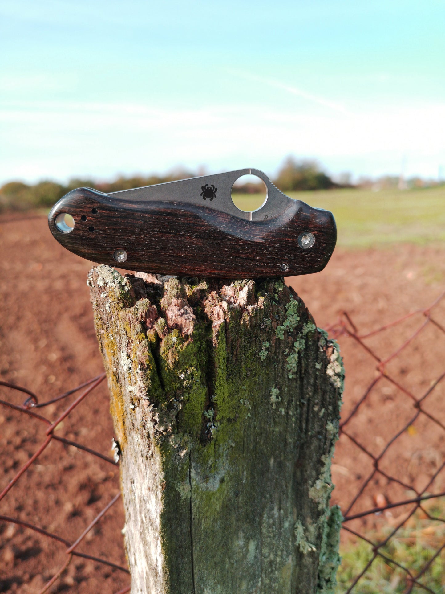 Scales in bog oak for Spyderco Para 3