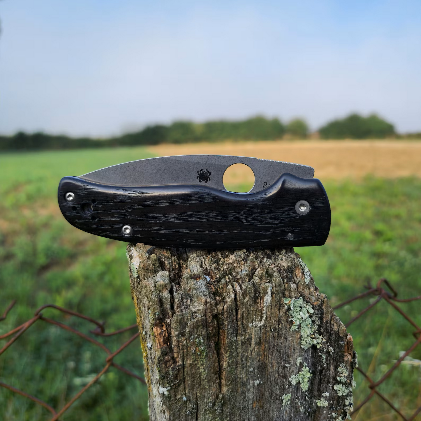 Scales in Partially fossilised Bog oak for Spyderco Shaman