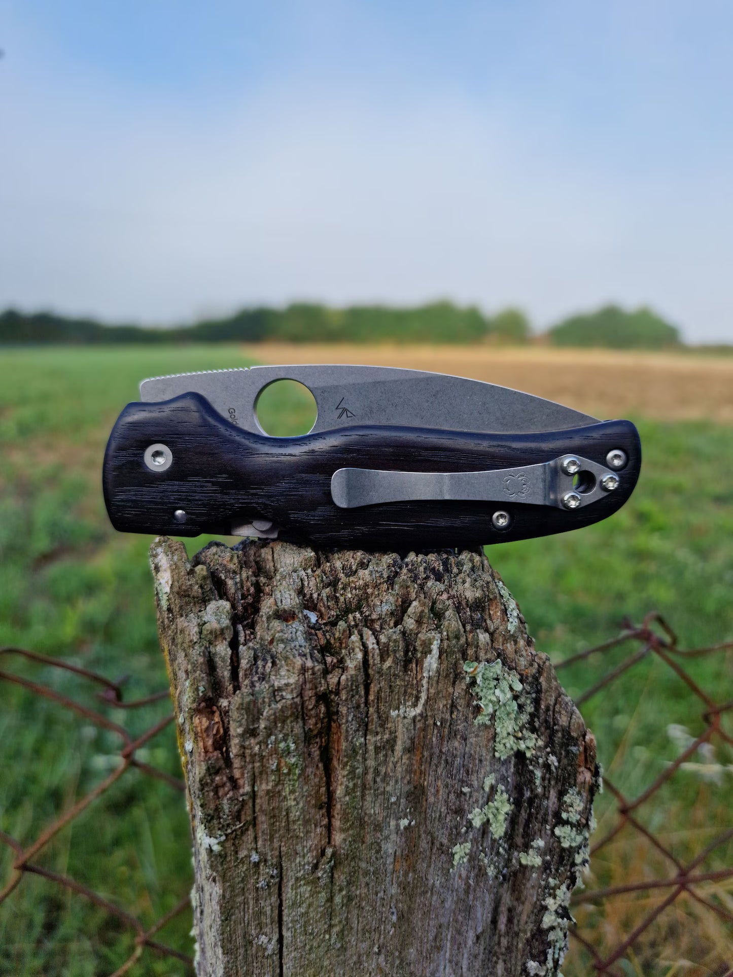 Scales in Partially fossilised Bog oak for Spyderco Shaman