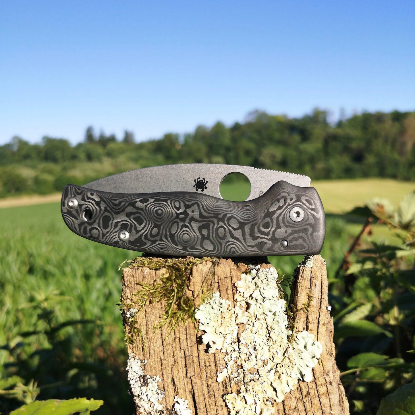 Scales in Carbon by Fatcarbon for spyderco Shaman