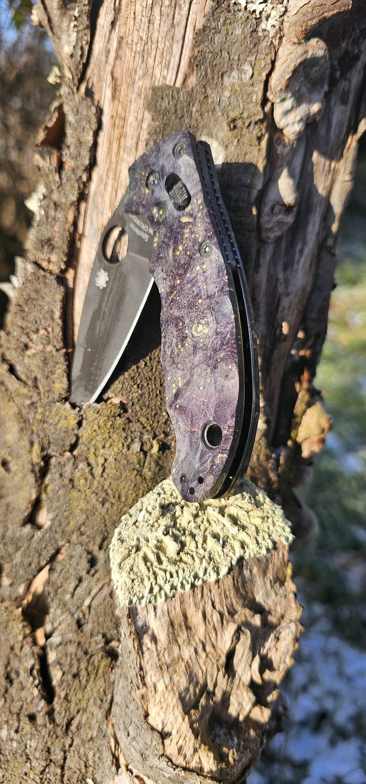 Scales in stabilized wood for Spyderco Manix 2