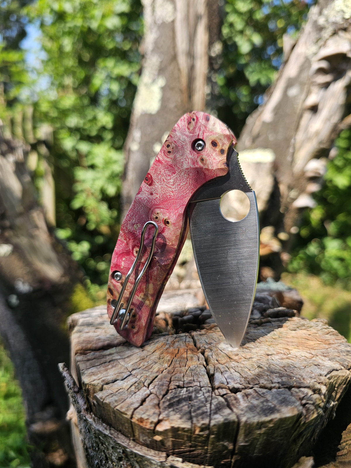 Scales in stabilised mapple wood for Spyderco Sage 5, 5LW or 6