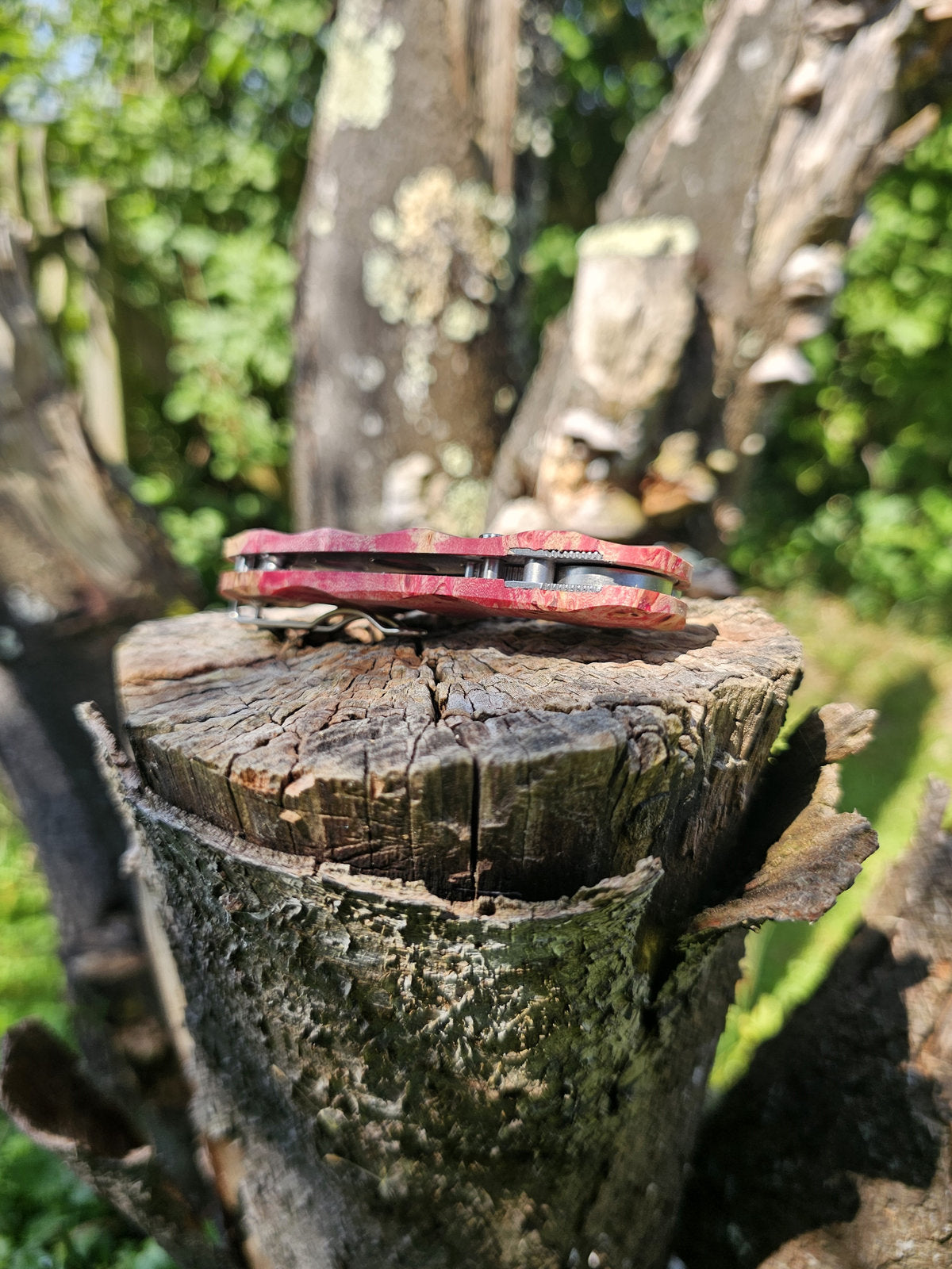 Scales in stabilised mapple wood for Spyderco Sage 5, 5LW or 6
