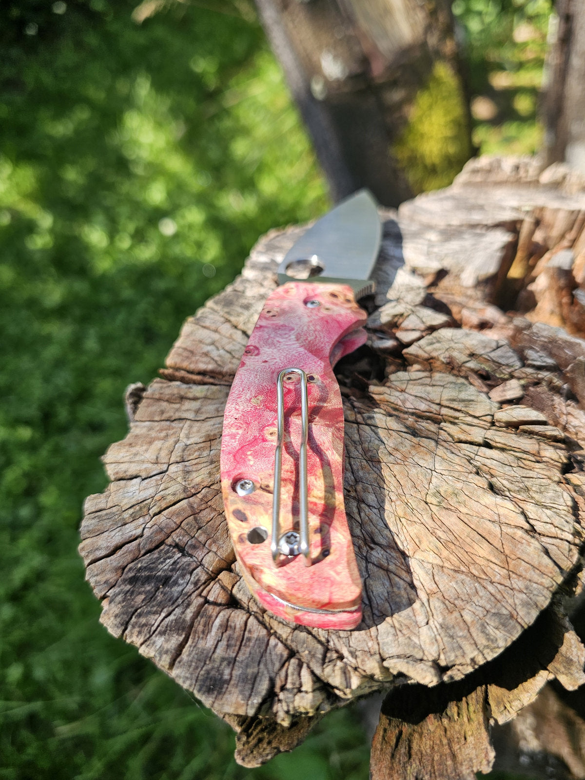 Scales in stabilised mapple wood for Spyderco Sage 5, 5LW or 6