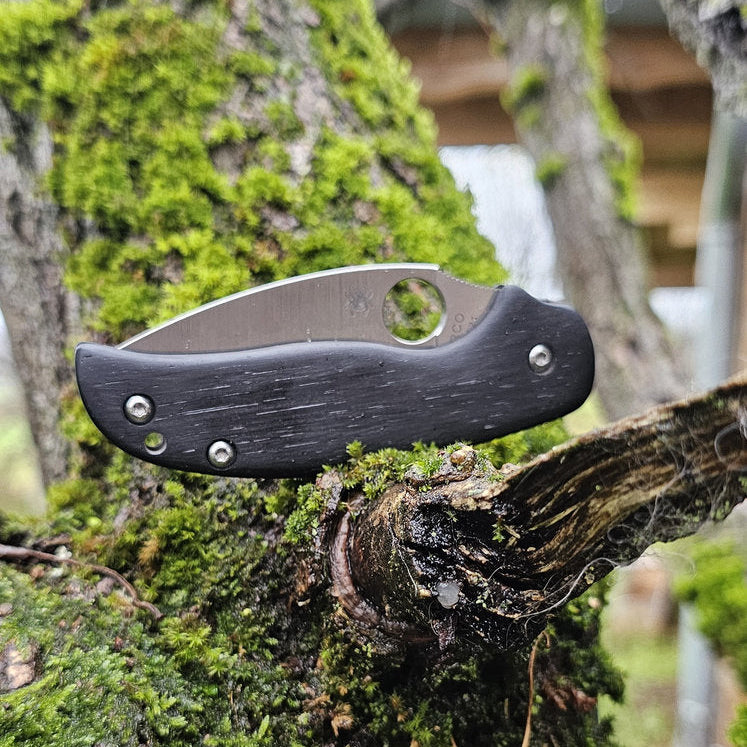 Scales in bog oak for Spyderco Sage 5, 5LW or 6