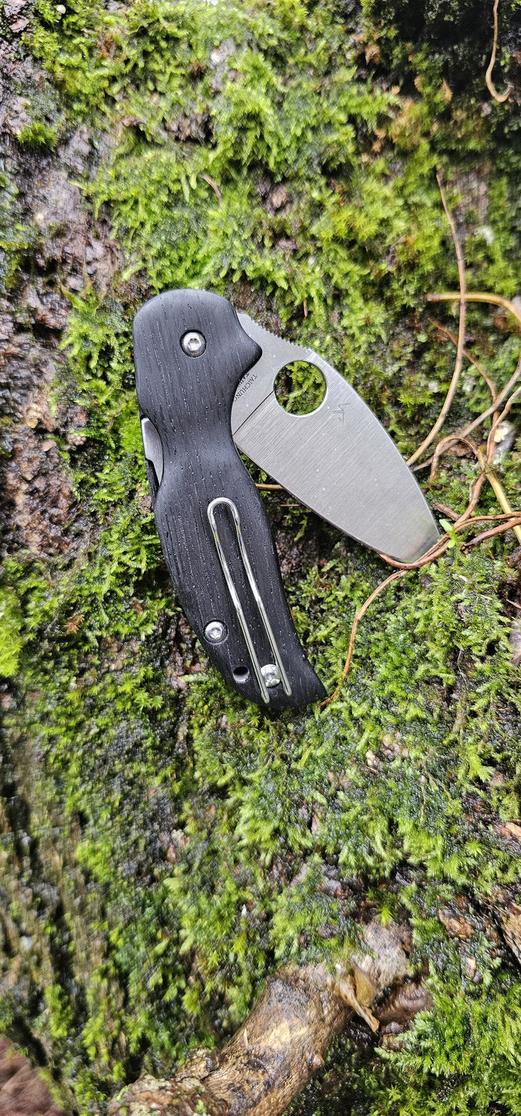 Scales in bog oak for Spyderco Sage 5, 5LW or 6