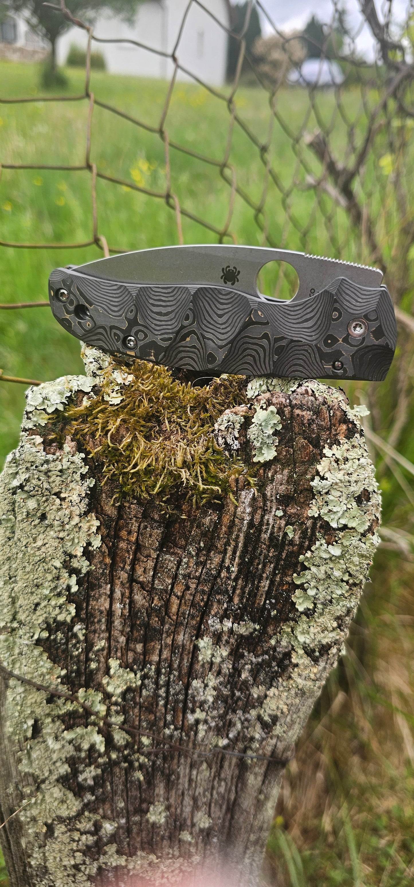 Scales in Carbon by Fatcarbon for spyderco Shaman