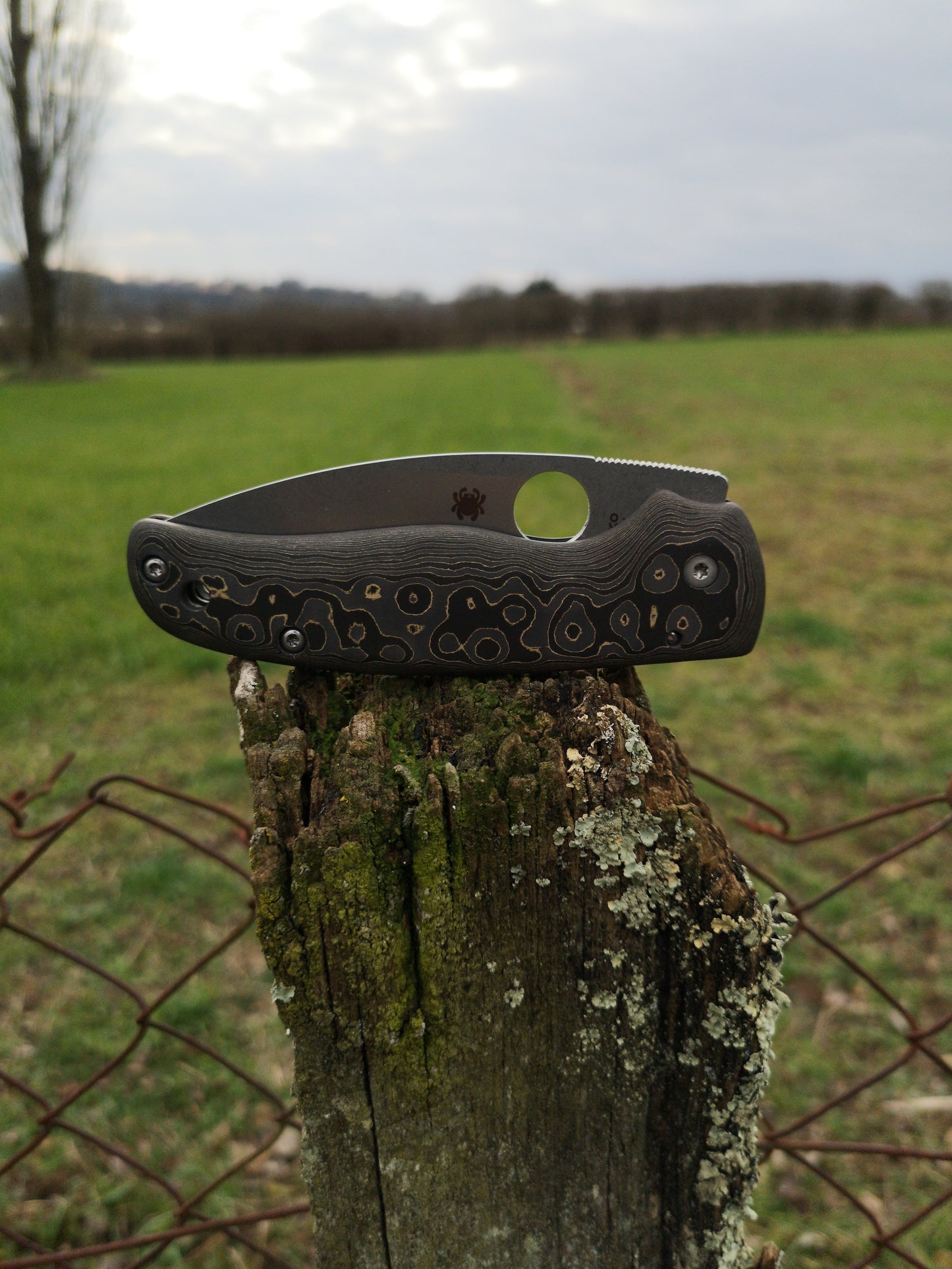 Scales in Carbon by Fatcarbon for spyderco Shaman