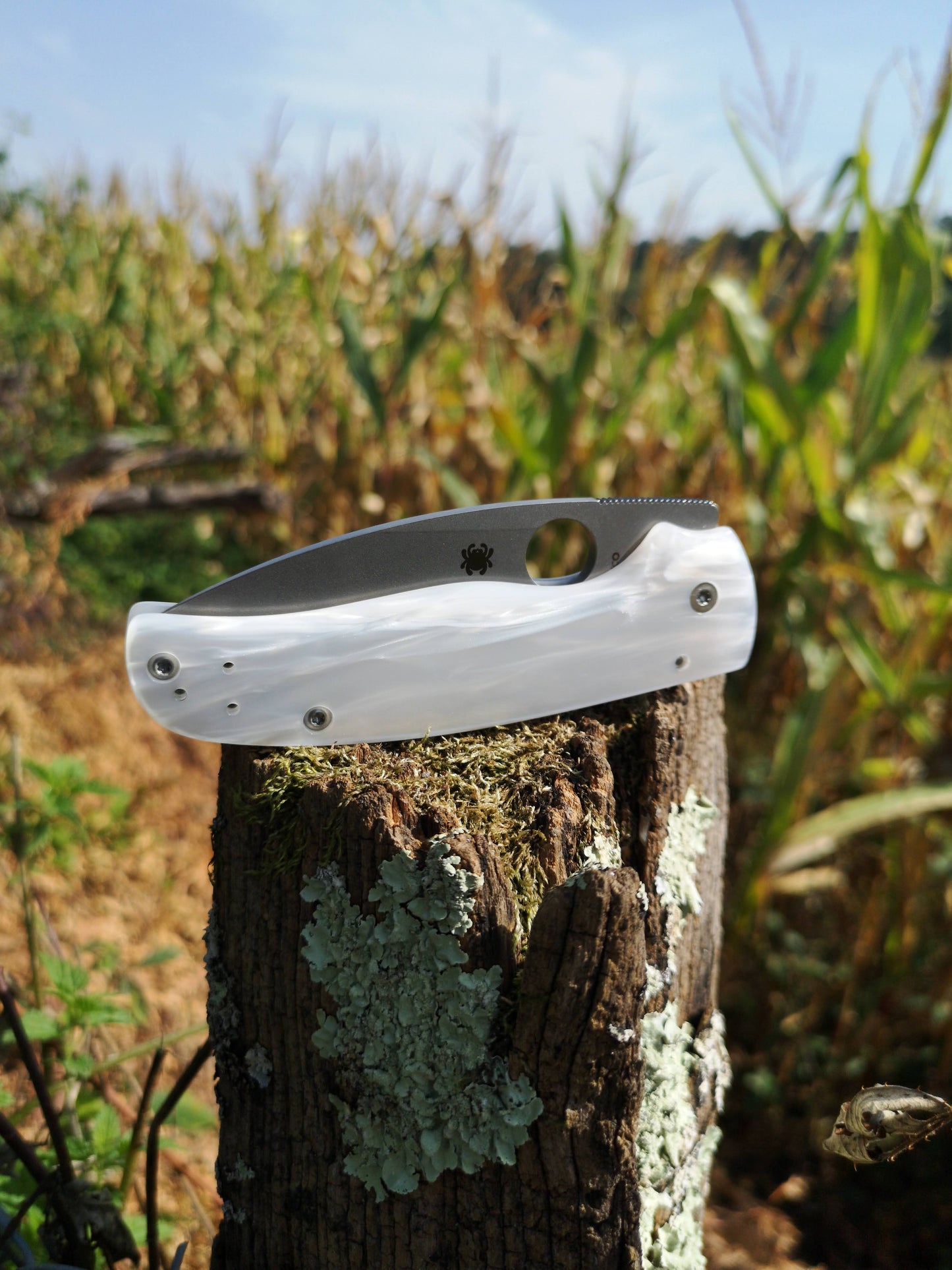 Scales in Kirinite For Spyderco shaman