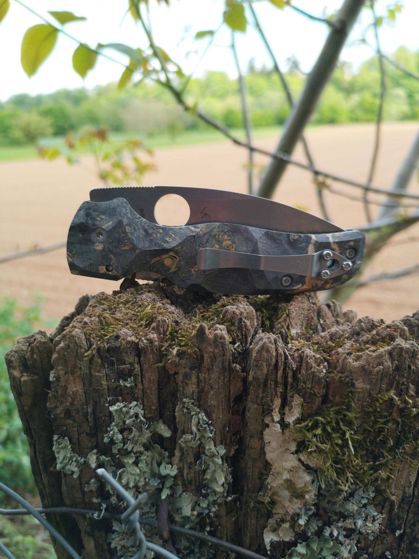 Scales in stabilized wood for Spyderco Shaman