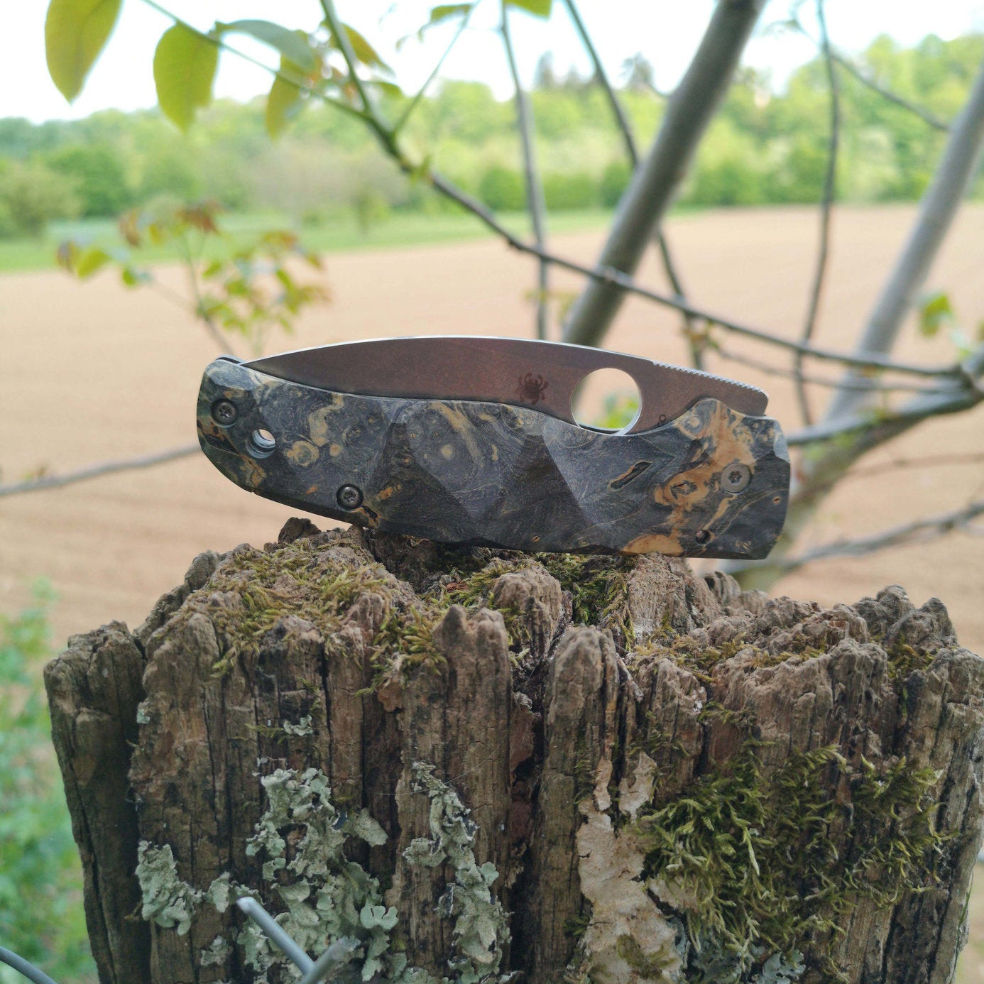 Scales in stabilized wood for Spyderco Shaman