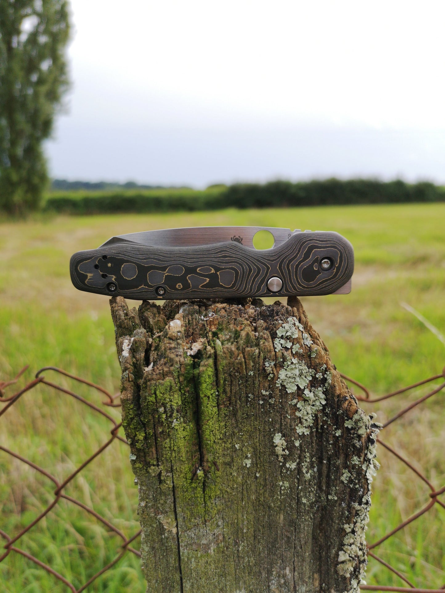 Scales in Carbon by Fatcarbon for Spyderco Smock
