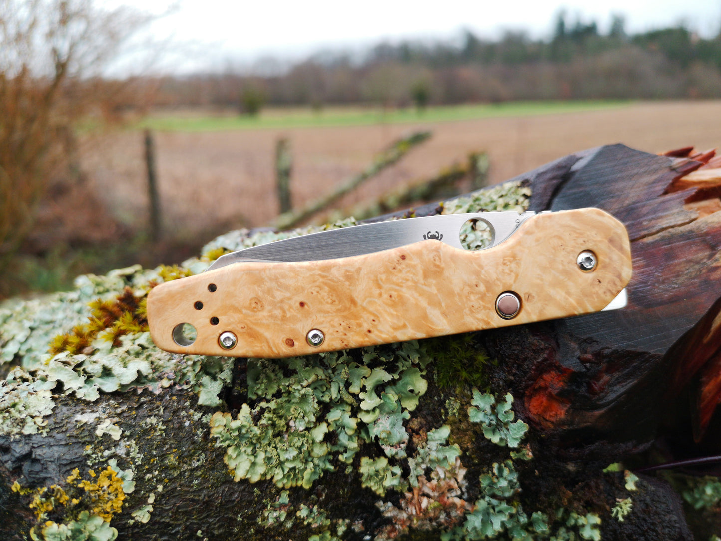 Scales in stabilized wood for Spyderco Smock