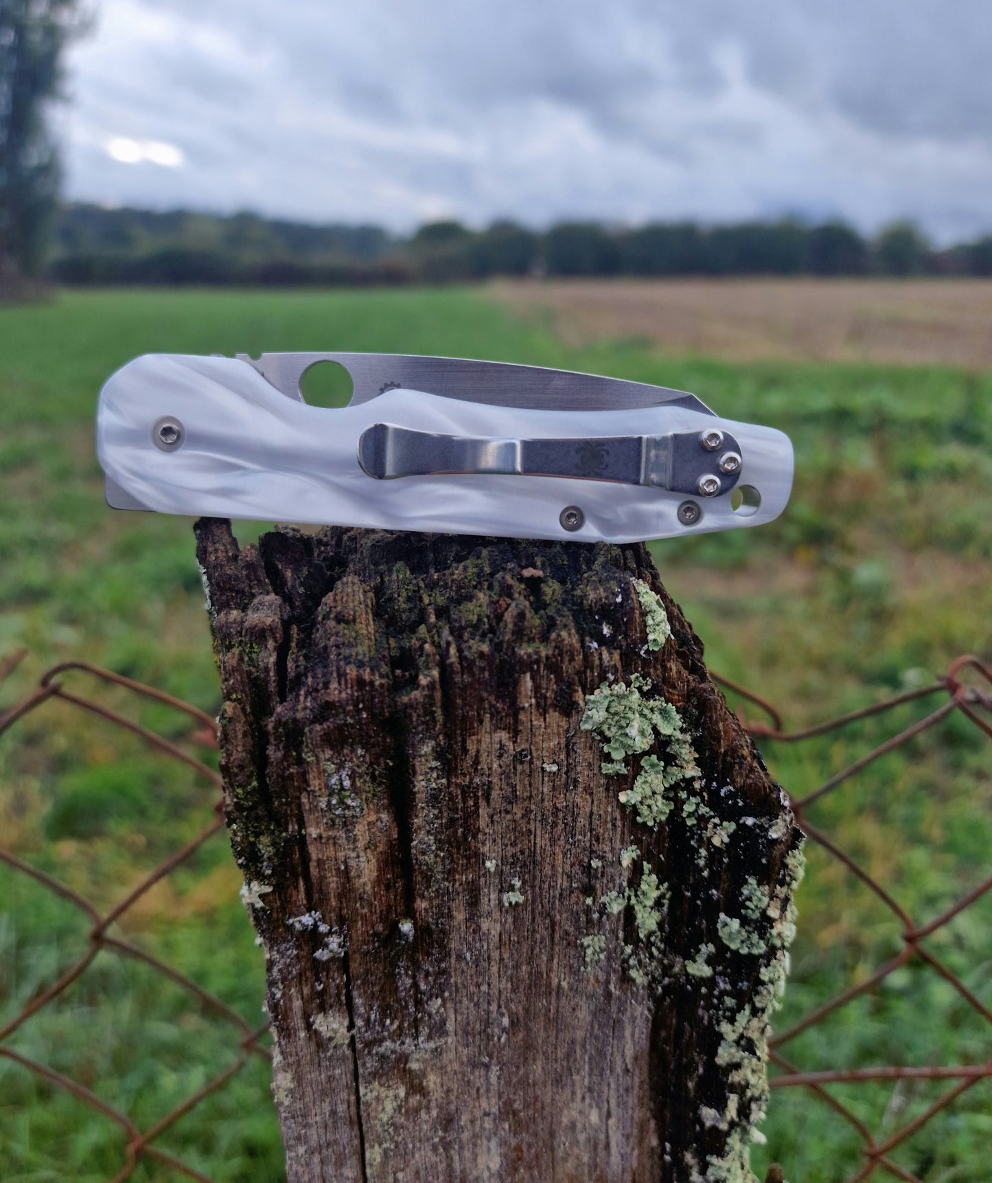 Scales in Kirinite for Spyderco Smock