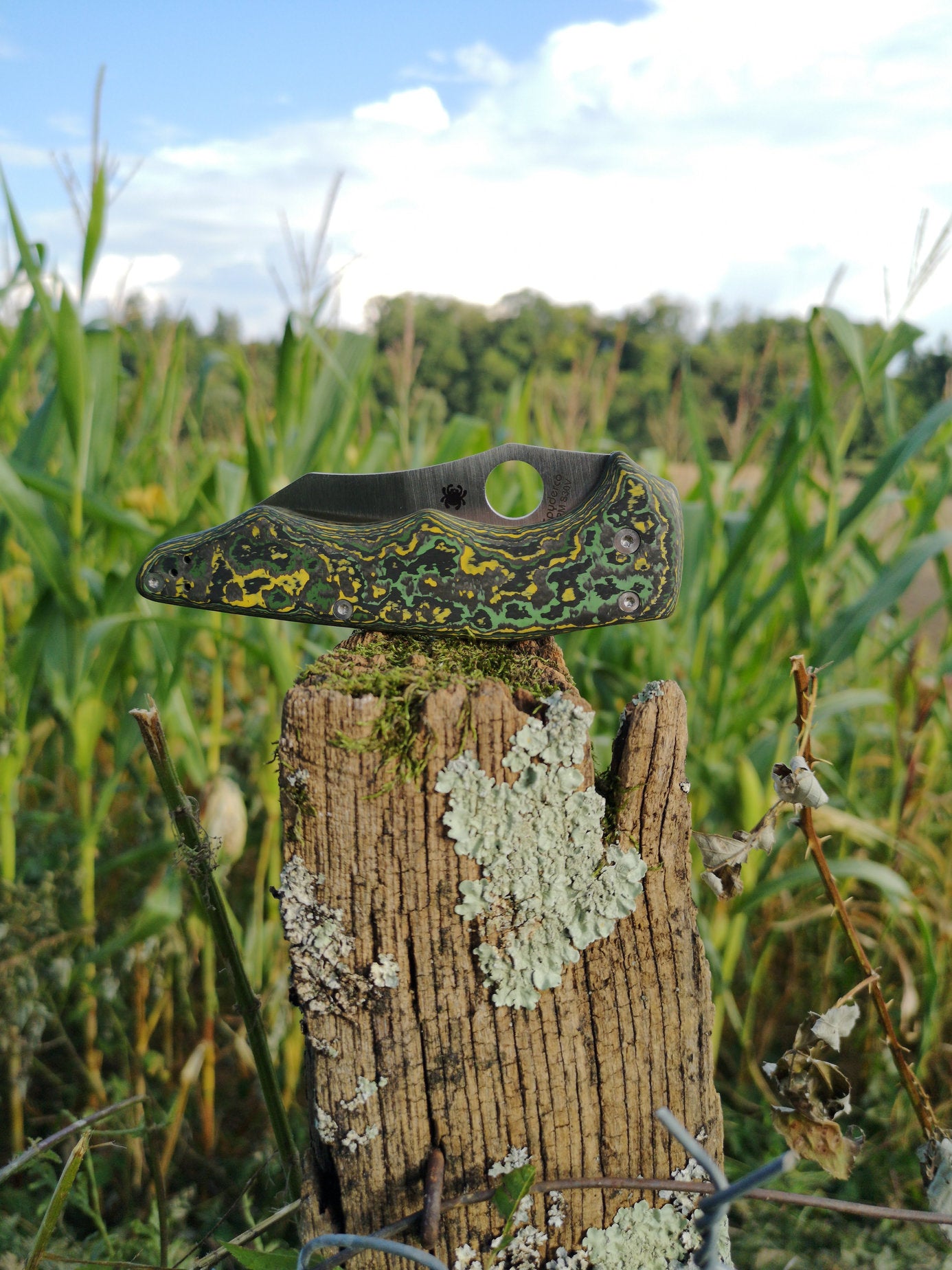 Scales in Carbon by Fatcarbon for Spyderco Yojimbo/Yojumbo
